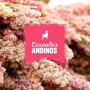 Cereales Andinos